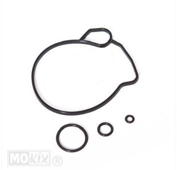 Pakking SET PIA Hexagon LX 125 SKR VM20 SP