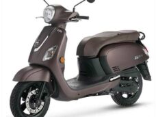 Buddy DEK SYM Fiddle III Bruin Dama Xtreme