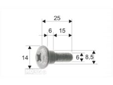 Borstschroef M6x21 (8x5) Zwart (10)