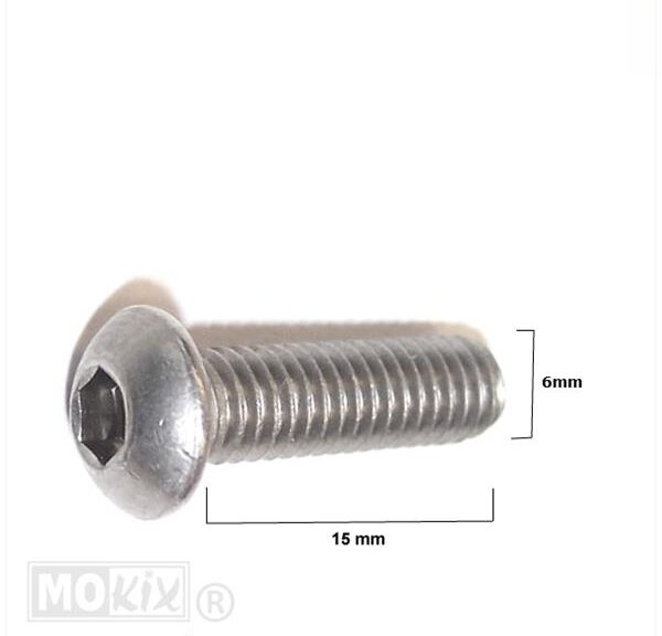 Remschijfinbusbout M6x15 Bolkop RVS (1) - Bollard