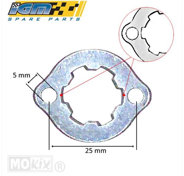 Borgplaat VKW Derbi Senda-R M4 (Inkeping Bout) IGM