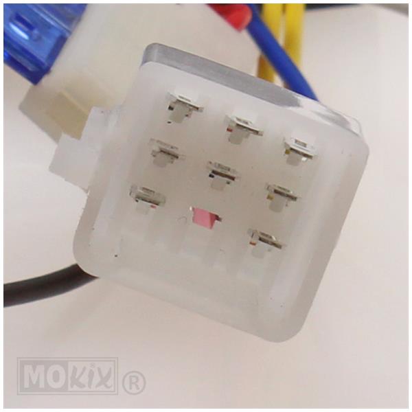 Alarm UNI 2x Afstandsbediening +Remote Start - Afbeelding 2