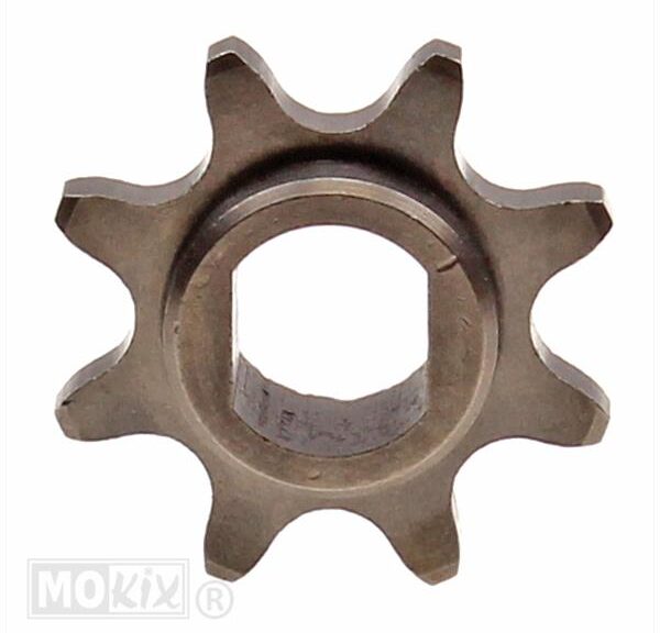 Voortandwiel Beta Cyclo  8tands