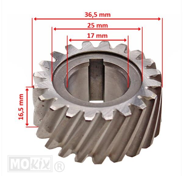 Koppelingshuis Aandrijf Tandwiel MIN AM6/CPI SX