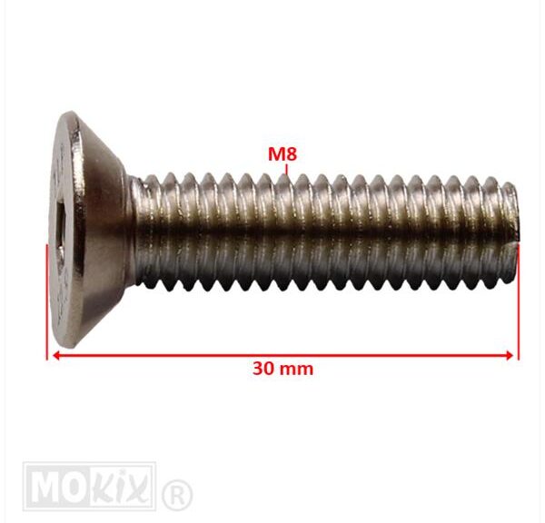 Remschijf Verzonken-Bout SET M8x30mm Blank (6) - Supertec