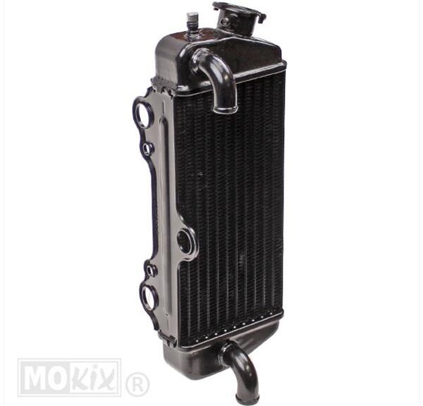 Radiateur Beta RR50 >2005 Supertec
