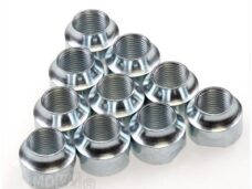 Asconen Puch Maxi Leuleu 11.0mm (10)