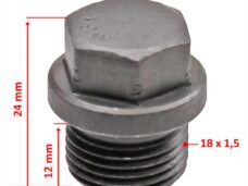 Schroef IPV Lambda Sonde Voor ZIP 4T 4V - Silex