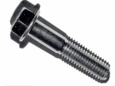 SYM Fiddle 2 FL. Bolt 8x40 M10