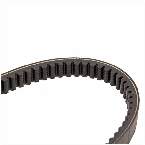 V-Snaar Suzuki Burgman 250 872x22.3x30 Bando TP - Afbeelding 2