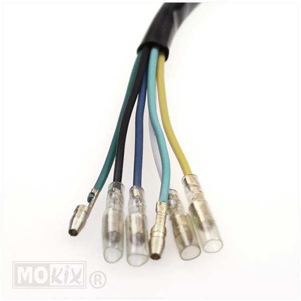 Ontsteking Honda MT/MB 50-80cc Compleet - Afbeelding 4