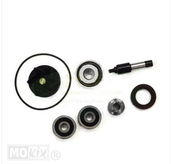 Waterpomp-Revisie SET Piaggio 250/300 TP - Top Performances