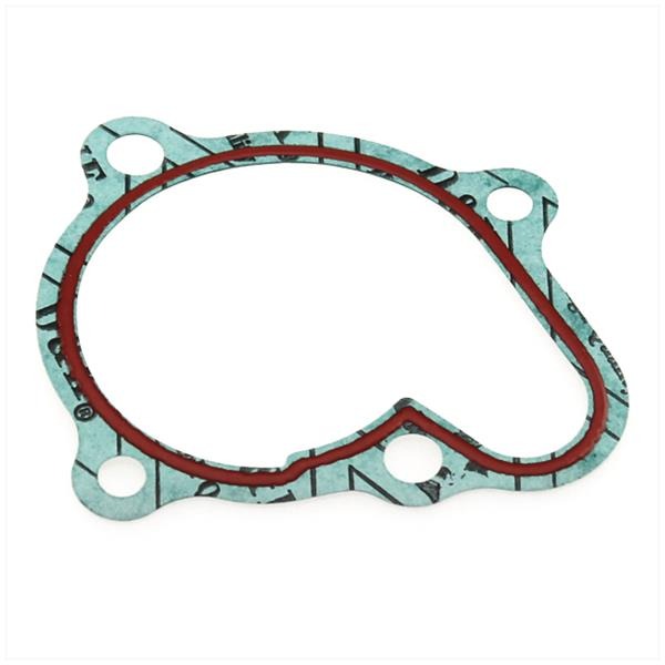 Waterpomp-Revisie SET Kymco People 300cc TP - Afbeelding 3