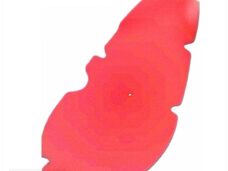 Filterfoam Hyosung SF 50 PRO S.RED - Artein