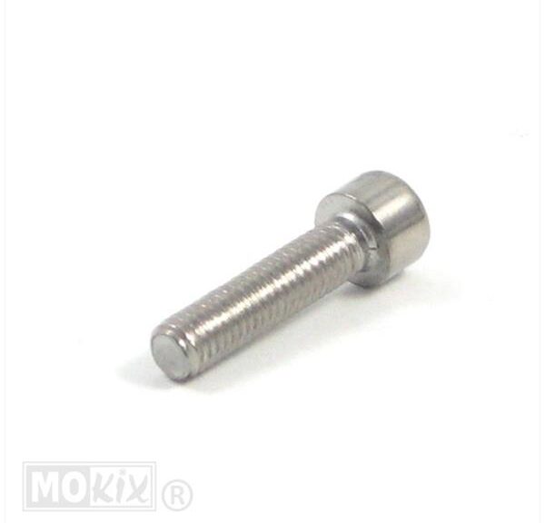 Schroef 6 X 25MM Roestvrij Staal - Generic