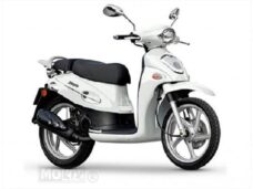 Windscherm Kymco PEOPLE'00 125  Faco H760
