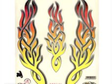 Transferset Flames