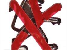 Peugeot Leeuw Chroom Sticker Embleem DIK