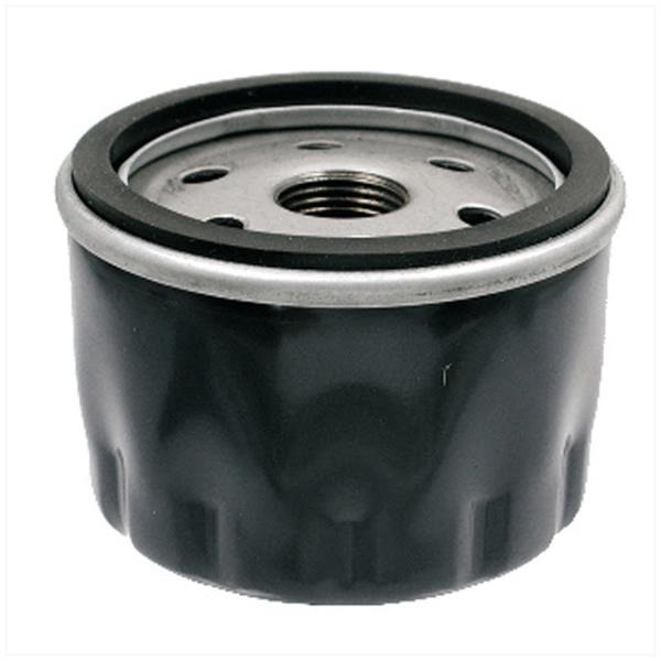 Filtro de óleo Piaggio Evolution 02/07 400/500cc - Figura 2