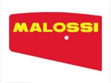 Luchtfilter Malossi Honda X8R Element