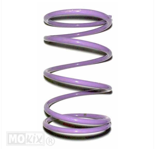 Drukveer Racing Violet 82% 4.0 Malossi