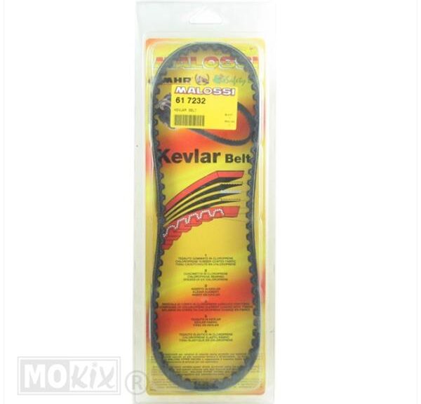 V-Snaar Malossi  YA  Axis/Zest       Kevl