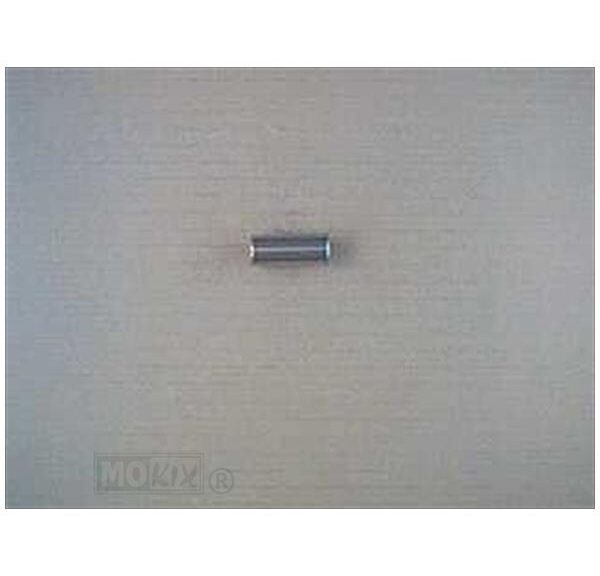 Piston PEN 12 MX 50         2000 - Rieju