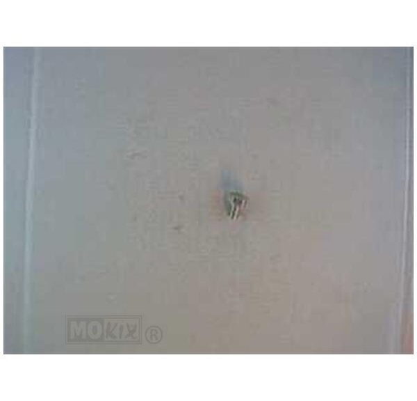 Olie Aftap Plug MX 50       2000 - Rieju