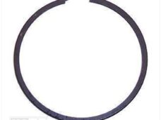 Zuigerveer 42.00x2.0 L (1) - BAC