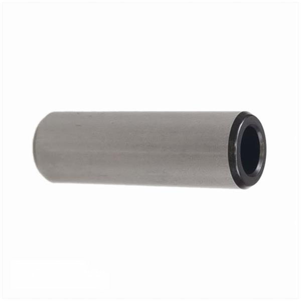 Piston PEN 10 X 31mm Barikit