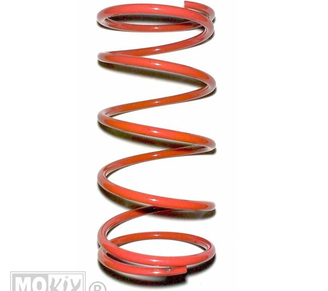 Drukveer Racing Rood MIN 4.1 - Malossi