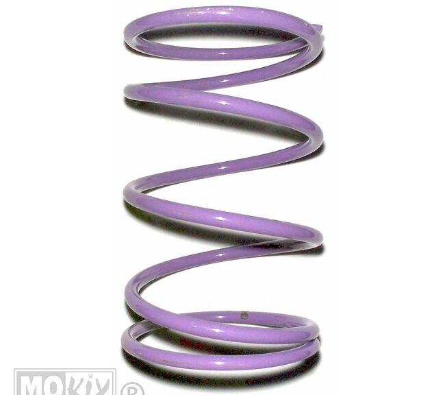 Drukveer Racing Violet 82% 4.0 Malossi