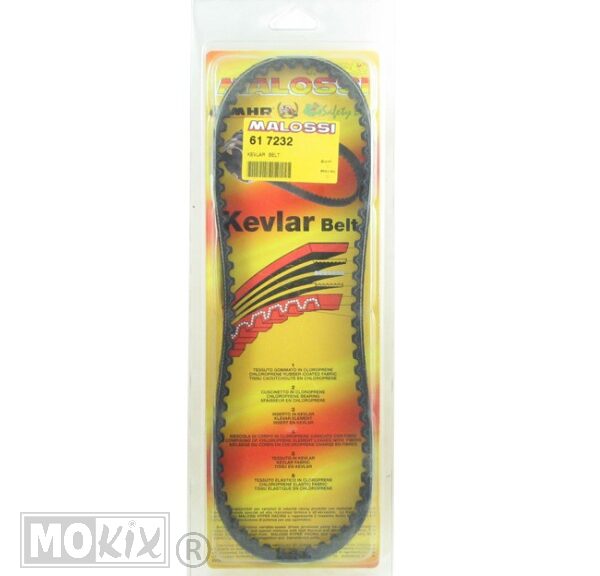 V-Snaar Malossi  YA  Axis/Zest       Kevl