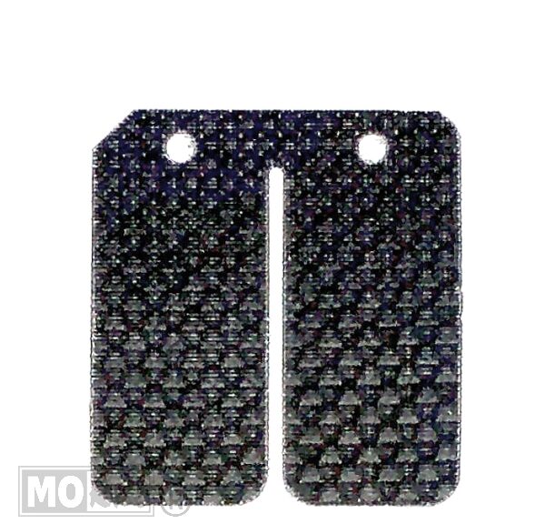 Membraanplaat Carbon Minarelli Verticaal (1) - Carbono