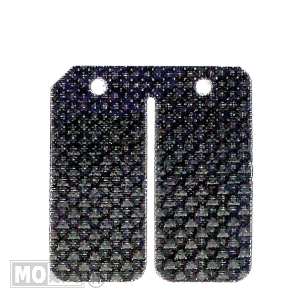 Membraanplaat Carbon Minarelli Verticaal (1) - Carbono
