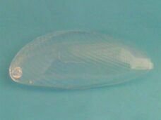 RAW-BOL Glas Yamaha Majesty R.V. CE - V-Parts