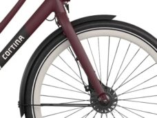 Burgundy Red