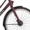 Burgundy Red