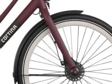 Burgundy Red
