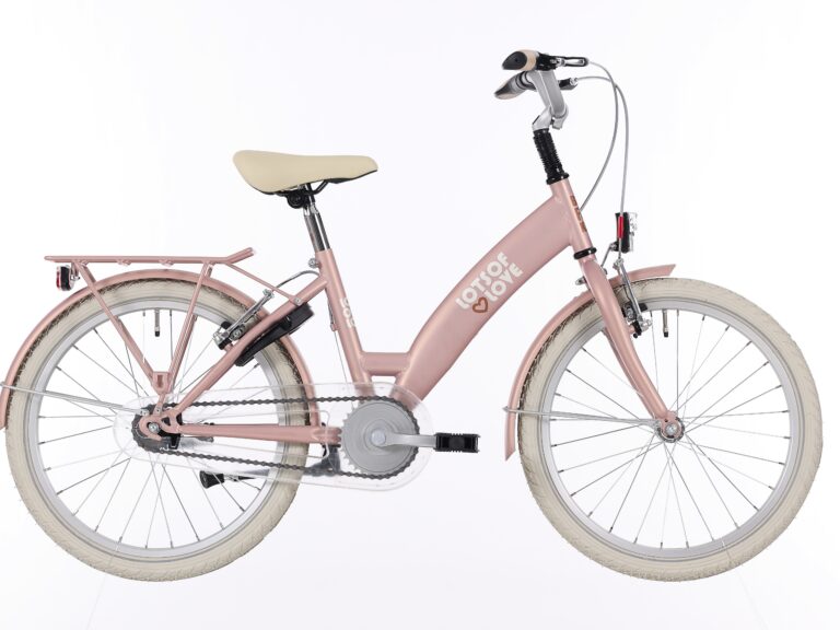 Kinderfiets Bikefun Lots of Love 20 inch met Remnaaf - Mahogany Roze