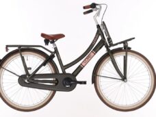 Kinderfiets BIKEFUN KIDS Load New 24'' met voor- en achterdrager - mat/groen