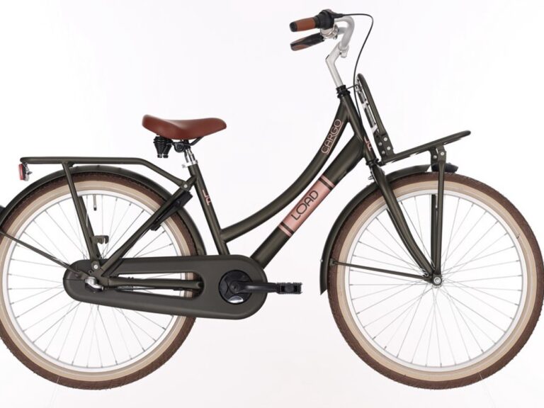 Kinderfiets BIKEFUN KIDS Load New 24'' met voor- en achterdrager - mat/groen