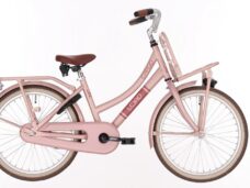 Kinderfiets BIKEFUN KIDS Load RN 20'' - mat/mahogany roze