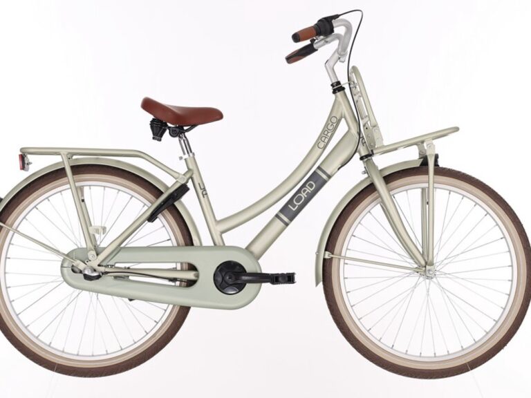 Kinderfiets BIKEFUN KIDS Load New 24'' met voor- en achterdrager - mat/desert sage