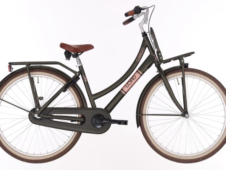 Kinderfiets BIKEFUN KIDS Load New 24'' met voor- en achterdrager - mat/elegance green
