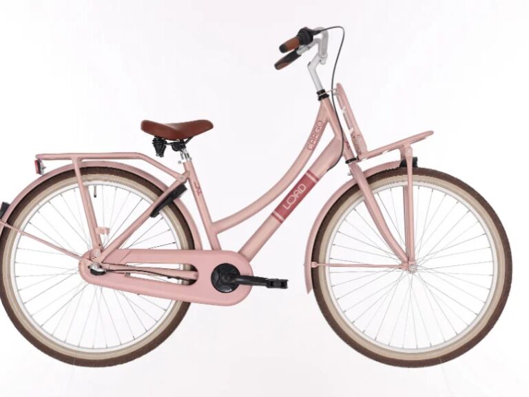Kinderfiets BIKEFUN KIDS Load New 26'' met voor- en achterdrager - mat/mahogany roze