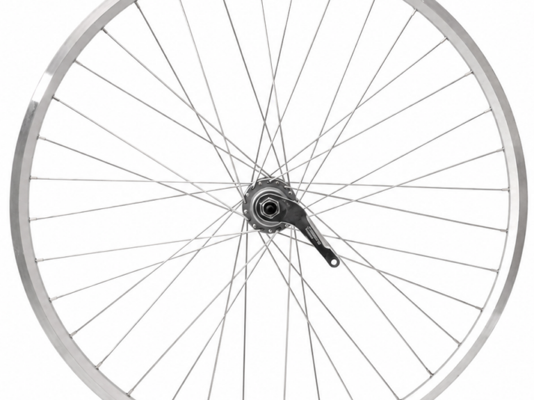Achterwiel 28 inch ZAC2000 aluminium - Shimano Nexus 3-remnaaf - zilver