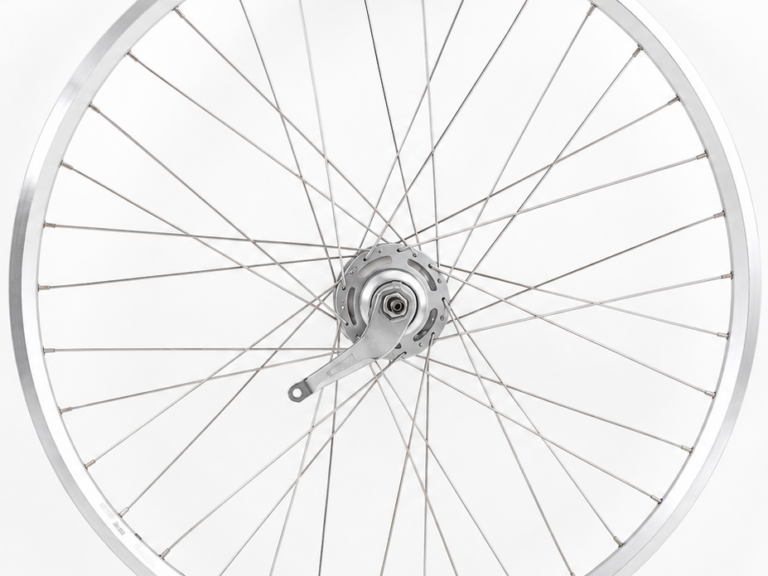 Achterwiel 28 inch ZAC2000 - Shimano Nexus 7-remnaaf - zilver/geslepen