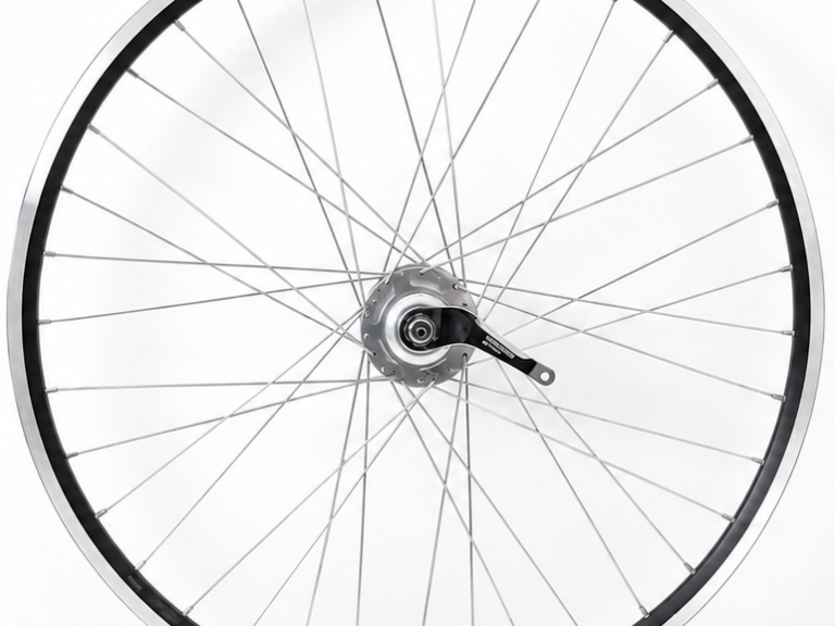 Achterwiel 28 inch ZAC2000 - Shimano Nexus 7-remnaaf - zwart/geslepen