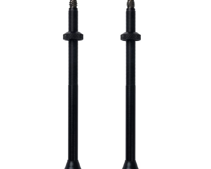 Tubeless ventielset SV - 100 mm